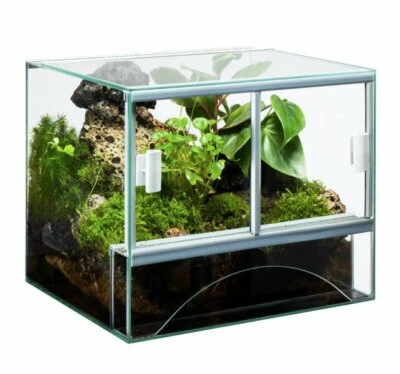 DIVERSA Glas Terrarium 30x25x25cm Glasterrarium 18,75 Liter rechteck Becken Schiebetür