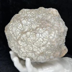 Traqueador de geoda de 6"" sin abrir cristal hueco corte de cuarzo rompe tu propio 4,3 libras grande - Imagen 1 de 8