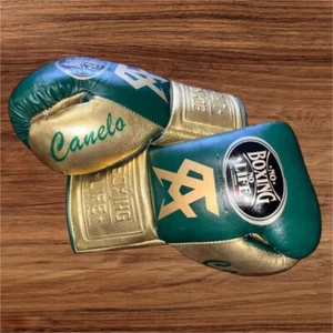 Personalized Canelo Handmade No Boxing No Life Boxing Gloves | with Canelo Logo - Picture 1 of 5