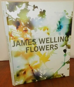 James Welling, Flowers. Abstract Photography. - Picture 1 of 7
