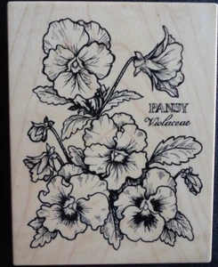 Pansy Botanical K774 flower spring stamp stamping crafts cards journaling used - Picture 1 of 2