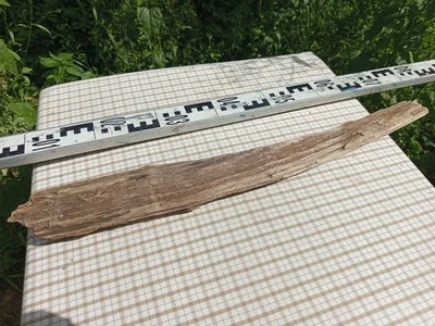 XL Stamm Skulptur Driftwood Terrarium Treibholz Deko Ast Holz Aquarium 60cm - Bild 1 von 3