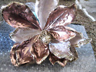 LISA ROBERTSON sparkling blossom on clip in a champagne color