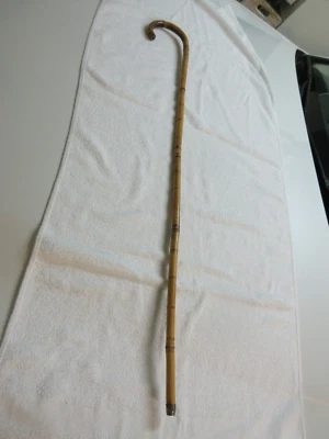 Walking Stick / Cane , Wood , Thick  Bamboo ,  35 1/2"  , Vintage - Image 1 of 4