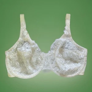 Vtg Playtex Secrets #4302 Embroidered Rosebud Lace Shaping Bra 36DD Ivory - Picture 1 of 7