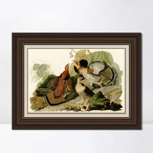 Lienzo enmarcado impresión de giclee urogallo con volantes por John James Audubon decoraciones para el hogar - Imagen 1 de 13