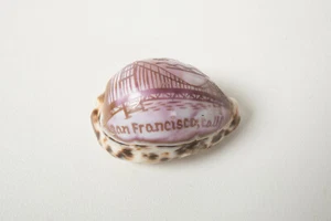 San Francisco Souvenir Shell (R4C)Hand Carved Golden Gate Bay Bridge Tiger Cowry - Picture 1 of 8