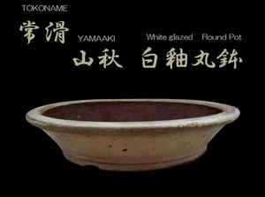 Japanische Bonsaischale TOKONAME weiß glasiert runde Form groß D32,5cm YAMAAKI - Bild 1 von 7