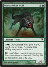 4x Darkthicket Wolf MTG Innistrad NM Magic Regular
