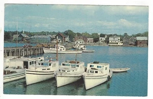 Cartolina USA Cromo 1977 Barca da Pesca Porto Nuovo Brunswick, Can H. S. Crocker - Foto 1 di 2