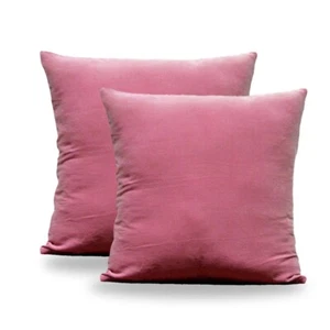 Paquete de 2 fundas de almohada de terciopelo de 20x20" | Fundas de cojín decorativas suaves para sofá/cama - Imagen 1 de 6