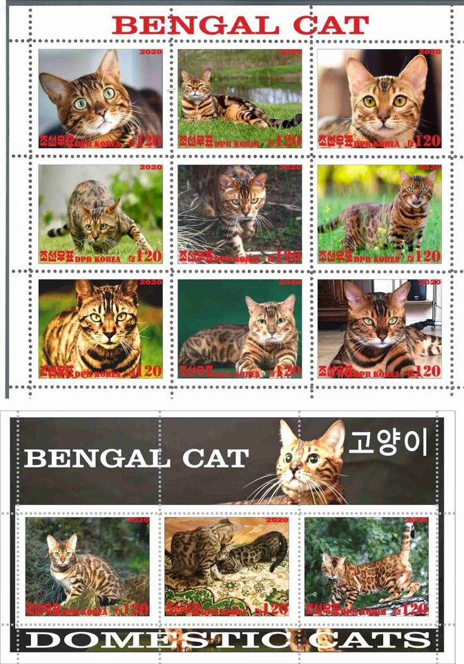 Stamp sheet+block Benal Cat Korea 2021 issue Cats Fauna - Image 1 of 1