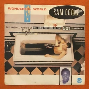 Sam Cooke- Wonderful World- Chain Gang- RCA Records 7” 1962 reissue - Picture 1 of 4