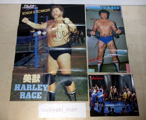 Autograph1980' Gong magazine Wrestling poster Harley Race lot of 3 ✈FedEx✈ Cover
