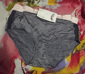 2 NEW JESSICA SIMPSON MICROFIBER LACE TRIM FULL FIGURE HIPSTER PANTIES 2X - Picture 1 of 2
