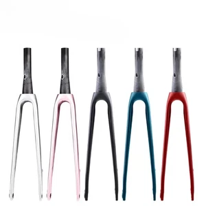 Carbon Bike Fork Thru-Axle Disc Brake Tapered Steerer Internal Cable Routing - Picture 1 of 12