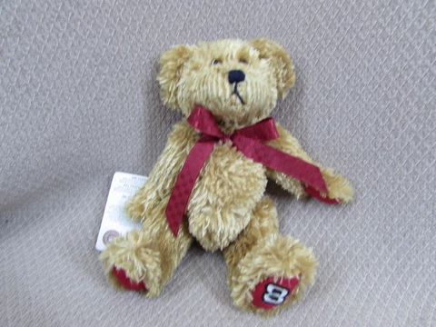 Boyd's Bears Nascar # 8 Dale Earnhardt Jr 1988-2005  ( with tags) Cover