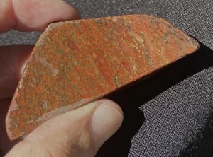 Dinosaur Bone (A Grade) Fine Bright Red Cell Fossil Slab 32 Grams Colorado - Picture 1 of 9