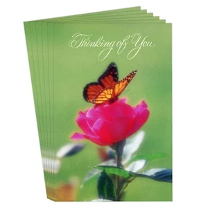 LOTE DE 6 Tarjetas + Sobres Vintage AMERICAN GREETINGS GET WELL SOON, Mariposa - Imagen 1 de 5
