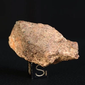 Chondrit Meteoriten Jiddat Al Harasis 055 - Jah 055, Oman 29,19 G - Picture 1 of 11