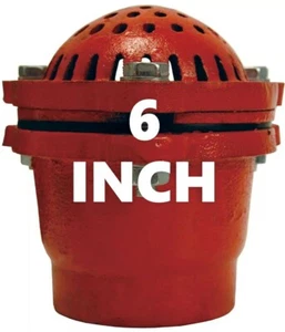 DIXON 6 inch Cast Iron Threaded Foot Valve - DFVS60 - Picture 1 of 2