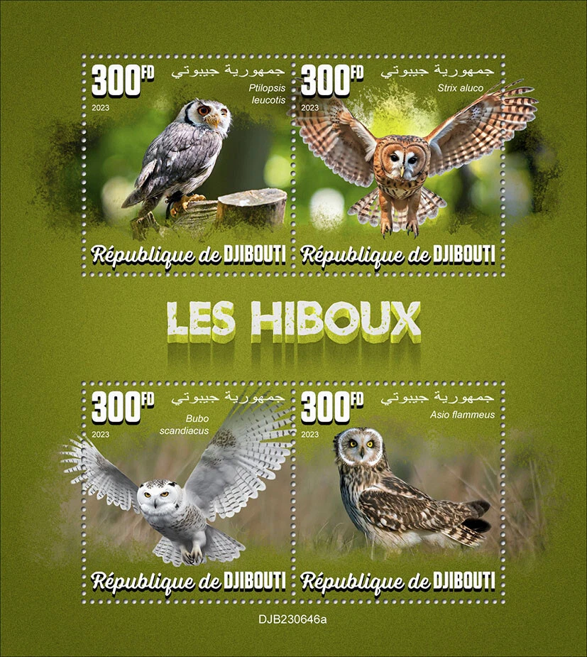 Estampillas de búhos MNH 2023 Djibouti M/S Foto 1 de 1