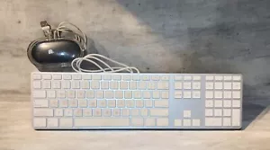 Apple A1243 M5769 Wired Mac Standard USB Keyboard & Black Mouse - Picture 1 of 8