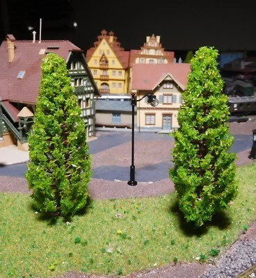 BONN-BAD-GODESBERG 10 Mittelgrüne Abetos, Abetos, Árboles Coníferos, 110MM Alto