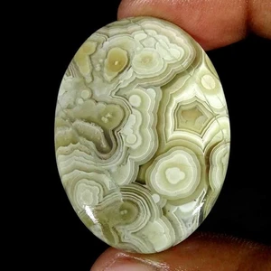 67,30 kt Natürlicher Crazy Lace Achat Oval Cabochon Lose Edelstein 31 x 43 x 6 mm - Bild 1 von 5