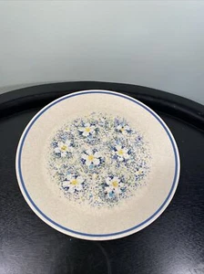 Lenox Temperware Tautrops Gänseblümchen Teller 10,25 Zoll blau MCM 70er - Bild 1 von 4