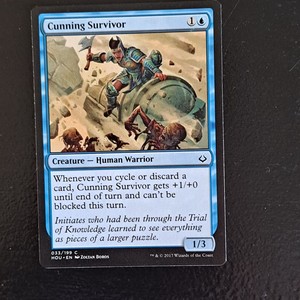 Magic The Gathering Cards MTG Cunning Survivor Zoltan Boros 033/199