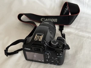 Canon EOS Rebel T3 DSLR Camera - Big Bundle w/3 Lenses incl. 75/300mm Telephoto - Picture 1 of 24