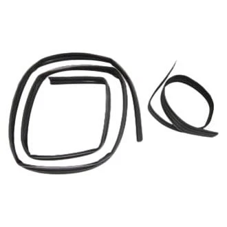 For Dodge W100 Pickup 68-71 Glass Run Window Channel Kit Front or Rear Upper Foto 1 de 2