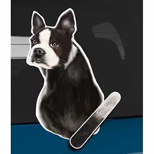 Boston Terrier Dog Rear Car Window Sticker + Wagging Tail To Fit On Wiper Arm - Picture 1 of 3