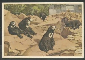 Verkade's Album "Dierenleven in Artis" G Maleise- of Honingberen in hun rotspark - Bild 1 von 2