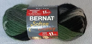 Bernat Softee Chunky Yarn DAD’S SCARF 29044 Ombré Green Gray Black 2.8 oz Skein - Picture 1 of 5