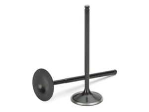 Supertech Honda B18A/B20 31x6.57x105.40mm Blk Nitrided Intake Valve - Set of 8 - Bild 1 von 1