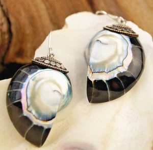 Silber Ohrhänger Nautilus Muschel Ammonit Fossil Groß Spirale Blau Bunt Modern - Bild 1 von 9
