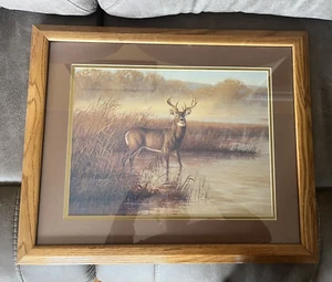 Lone Buck In Stream Framed Print Signed Hayden Lambson 18.5”x22.5” - Picture 1 of 6