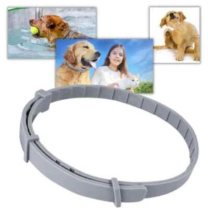 Collier anti-puces anti-tiques 6 mois de protection - Grand chien 8kg - Bild 1 von 6