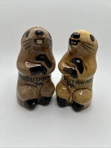 Punxsutawney Pennsylvania Cream Sugar Containers Groundhog Phil Vintage Signed - Picture 1 of 7