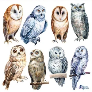 Violette Stickers - Real Owls - 1 Sticker Sheet for Stationary & Scrapbooks - Picture 1 of 4