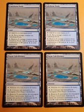 #565 | CALCIFORM POOLS (×2) + POÇAS CALCIFORMES (×2) (PACK 4) #270 TIME SPIRAL