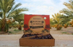 5 LB JUMBO'S PREMIUM ORGANIC MEDJOOL DATES FRESH ARIZONA'S GROWN. - Picture 1 of 7