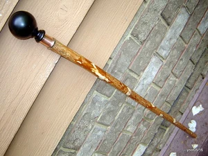handmade mottled SASSAFRAS black knob SHILLELAGH/cane/walking stick~gift/copper - Picture 1 of 9