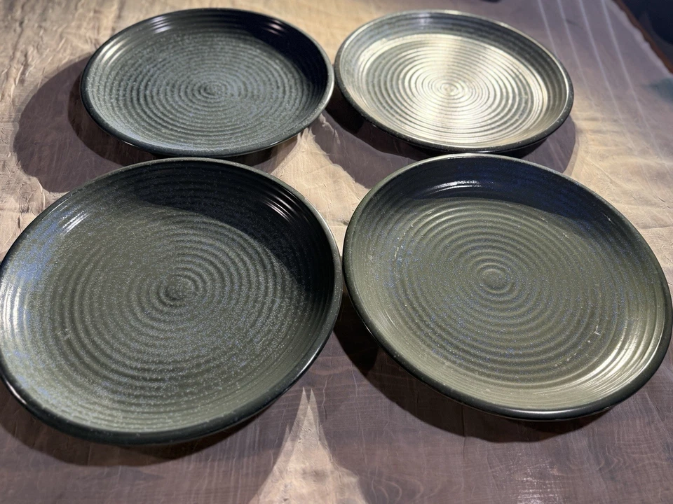 Juego de 4 platos de cena de piedra de alfa de 12” esmalte reactivo moteado azul-verde usado en excelente estado Foto 1 de 4