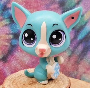 CHI-CHI OSTOS CORGI DOG #3884 - Authentic Littlest Pet Shop - Picture 1 of 5