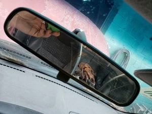 Rear View Mirror Manual Dimming Fits 01-16 ESCAPE 1100088 - Picture 1 of 8