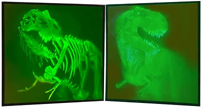 3D Hologramm Holographie 2-Phasen-Bild, T-Rex Dinosaurier, Vintage 80/90er Jahre - Bild 1 von 4
