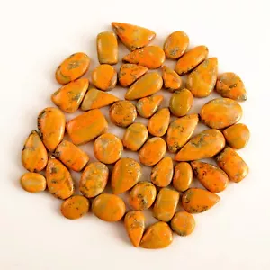 45 pezzi 221 ct pietra preziosa diaspro naturale bombo ape cabochon lotto 21x10-10x6 mm #13463 - Foto 1 di 8